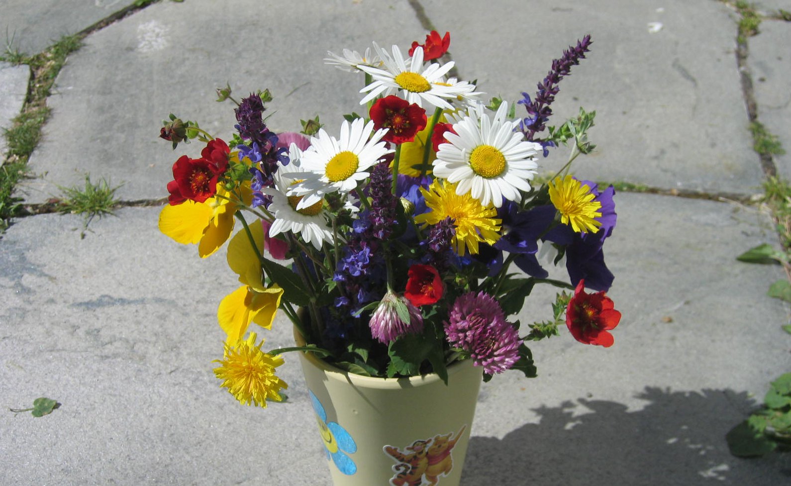 Markblomster gir et bilde på mangfoldet. Foto: LTB