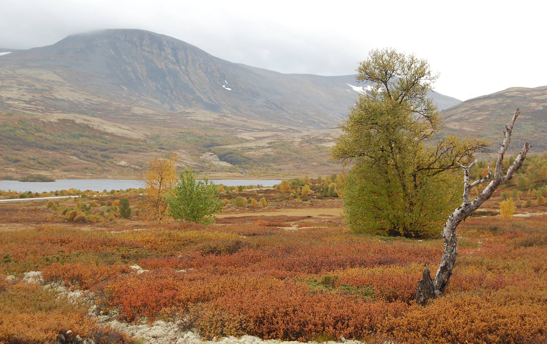 Hverdagstanker før søndagen: "Et varmhjertet menneske"