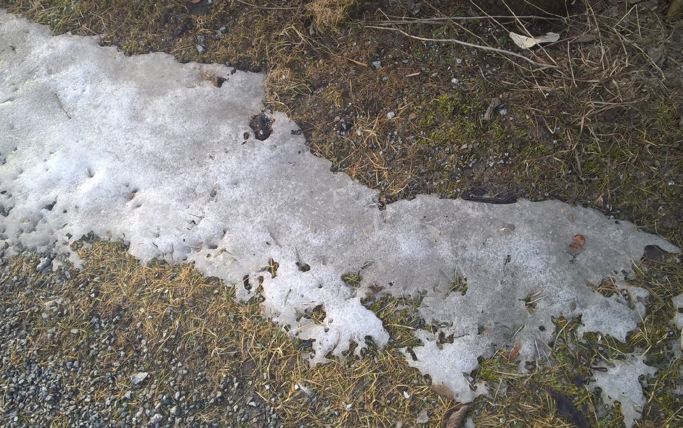 Hverdagstanker i fastetiden: Telesmeltingsfesten