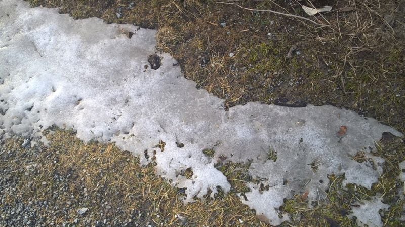 Hverdagstanker i fastetiden: Telesmeltingsfesten