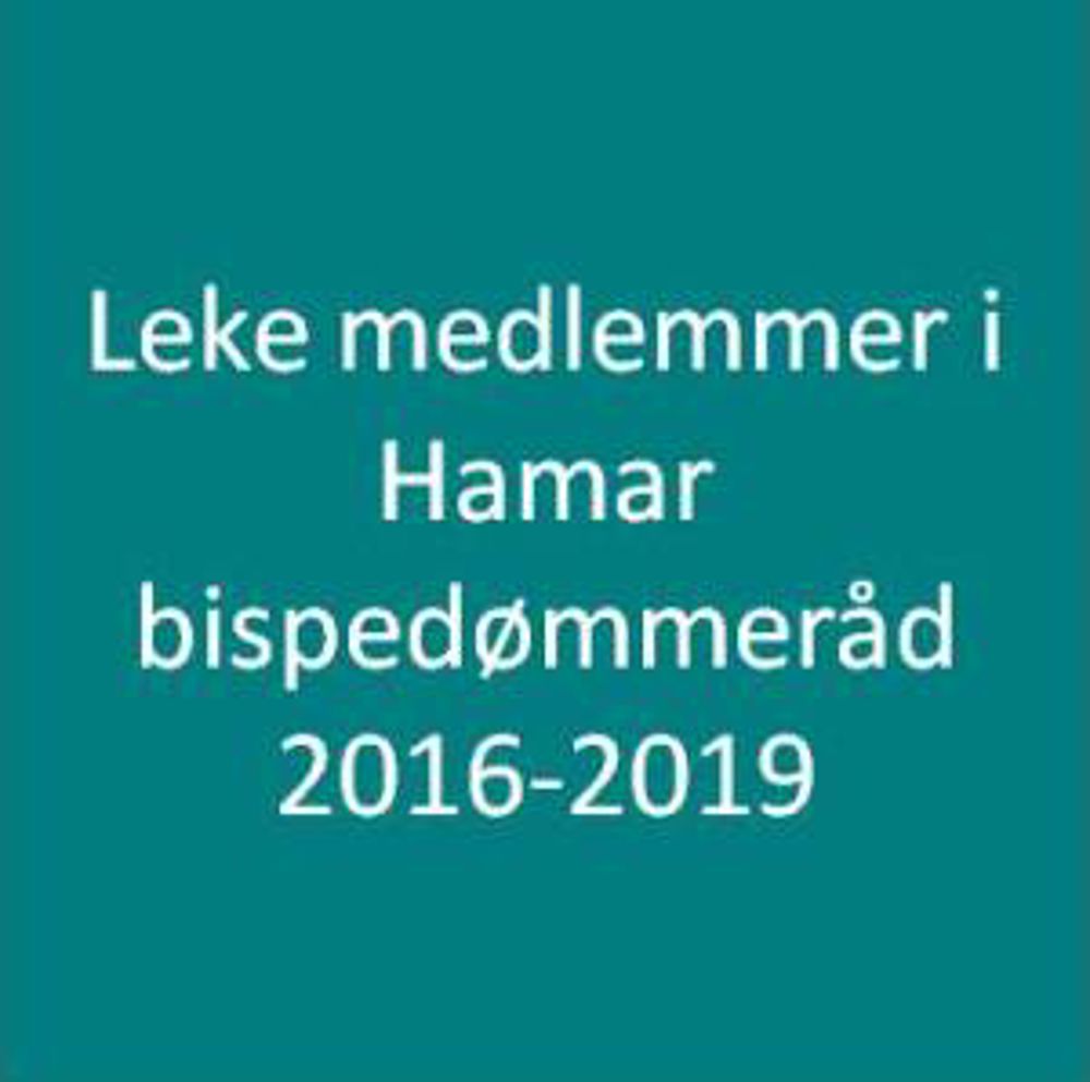 Leke medlemmer 2016-2019