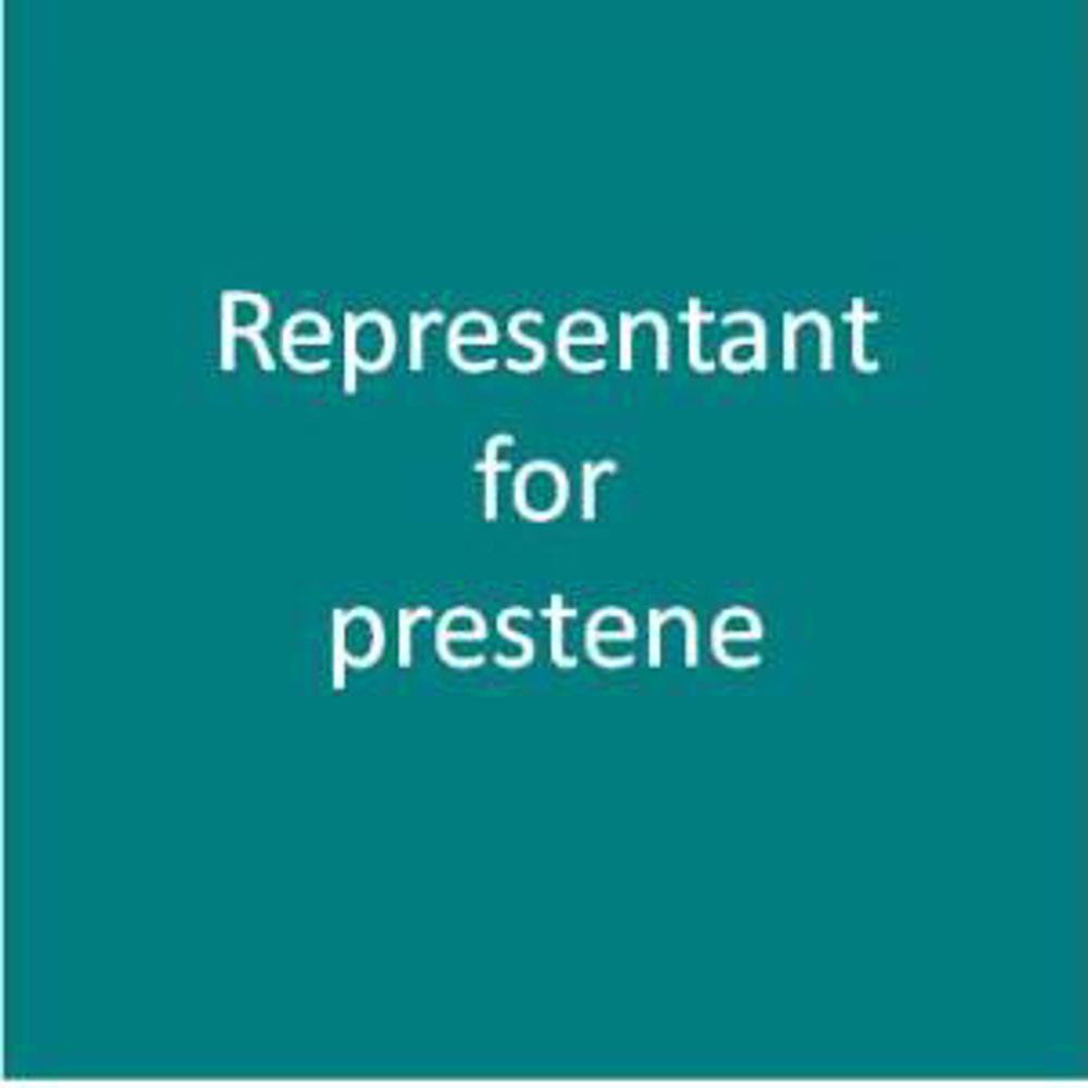 Representant for prestene