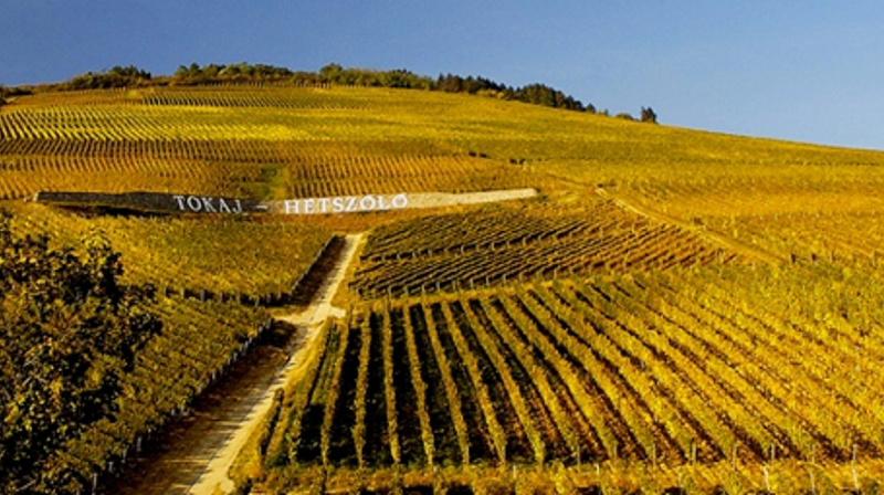 Pilegrimsvandring i Ungarn