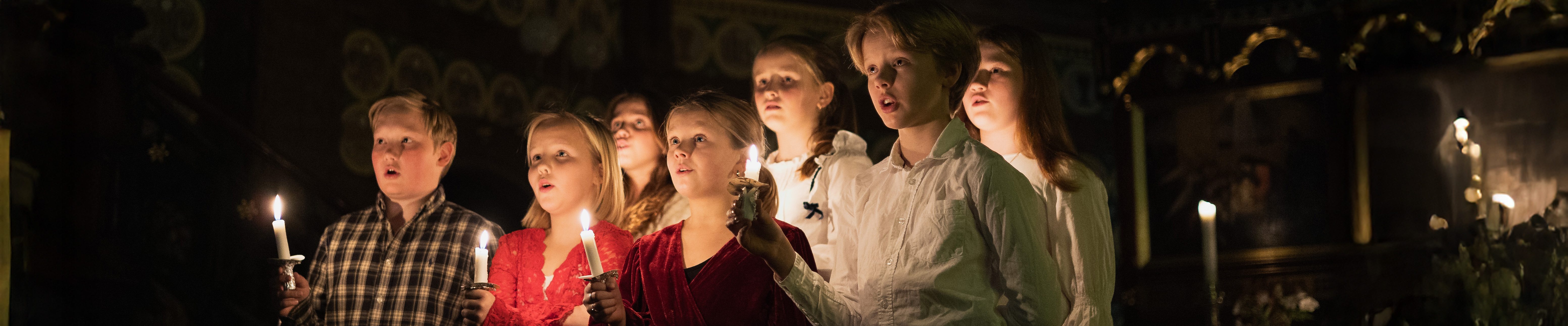 Toppbilde for Nidaros biskop og bispedømmeråd. Preses i bispemøtet.