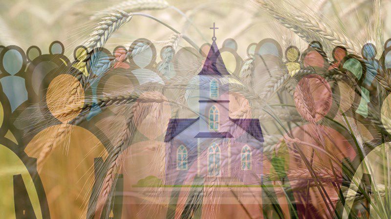 Disse har fått penger fra Nidaros såkornfond