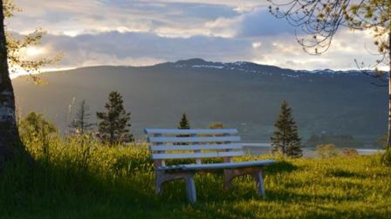 Sjelesorg i en tros- og livssynspluralistisk kontekst, 10 studiepoeng