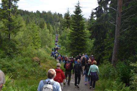 350 Pilegrimer mot Olavsfestdagene