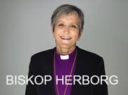 Biskop Herborg