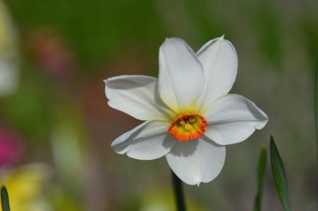 Åndens høytid, pinseandakt av biskop Tor Singsaas