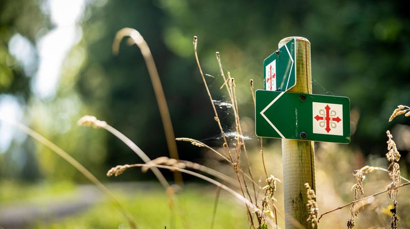 Inviterer til pilegrimsgudstjeneste på Lian