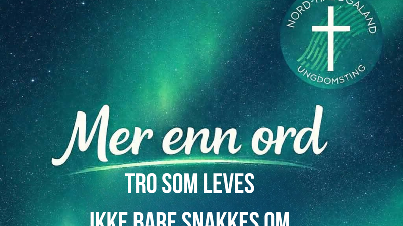 Bli med på ungdomstinget 2026.