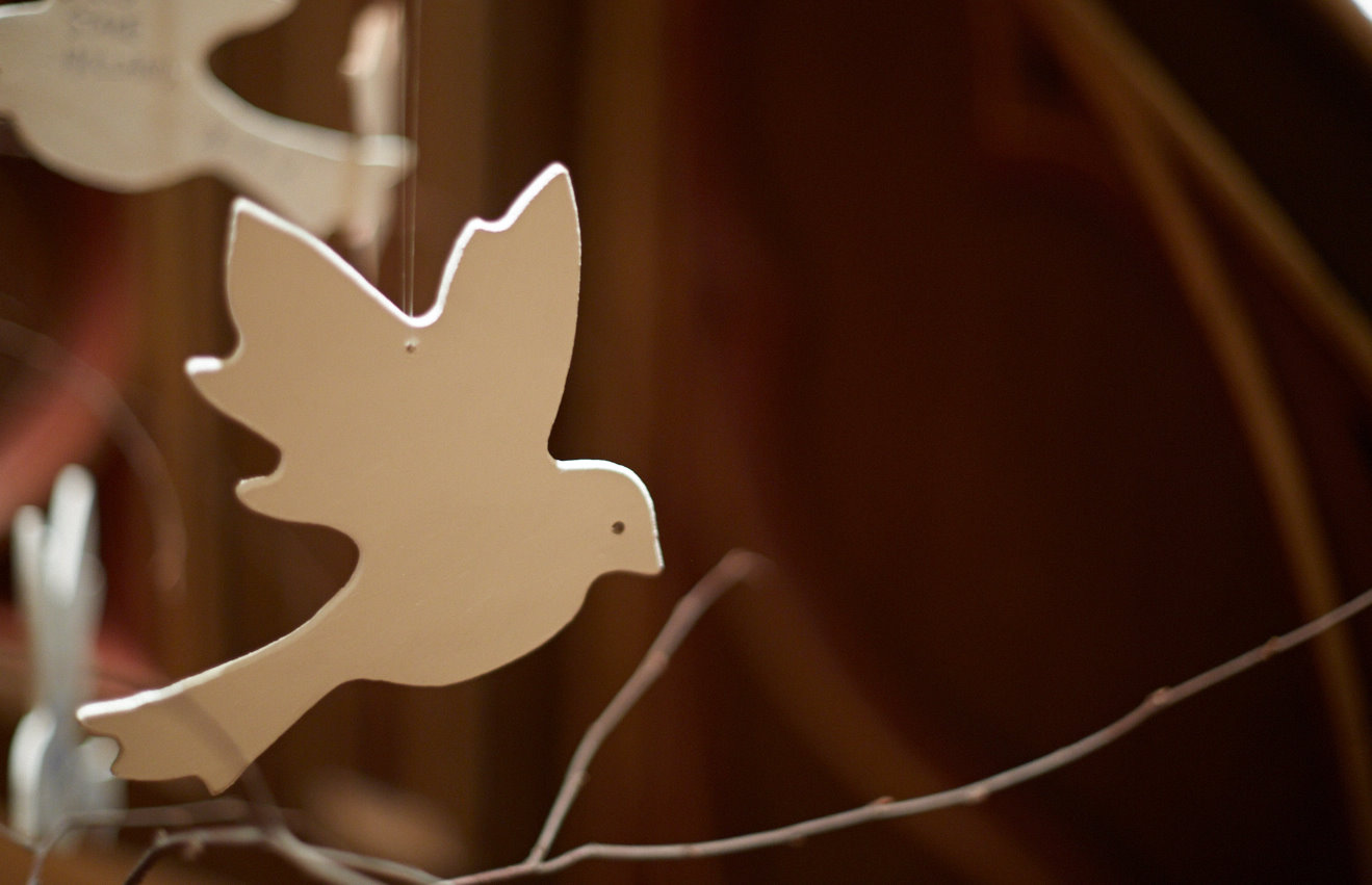 Håpsdue - Foto: Lars Verket