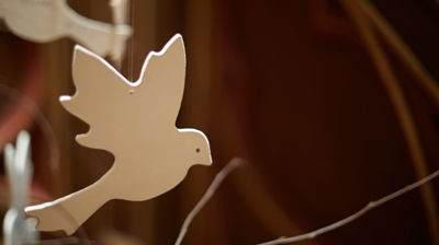 Håpsdue - Foto: Lars Verket