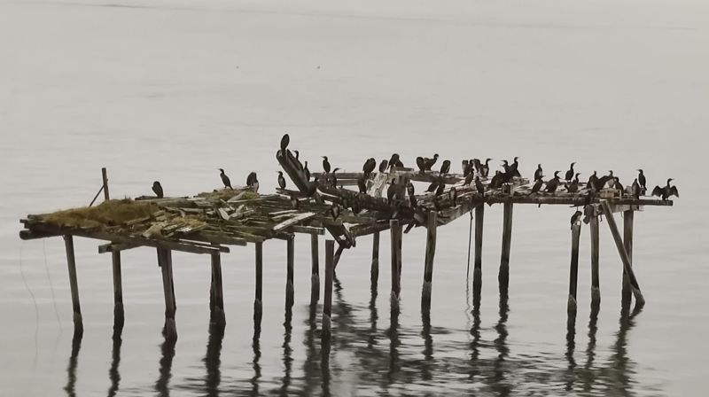 15 ledige stillinger