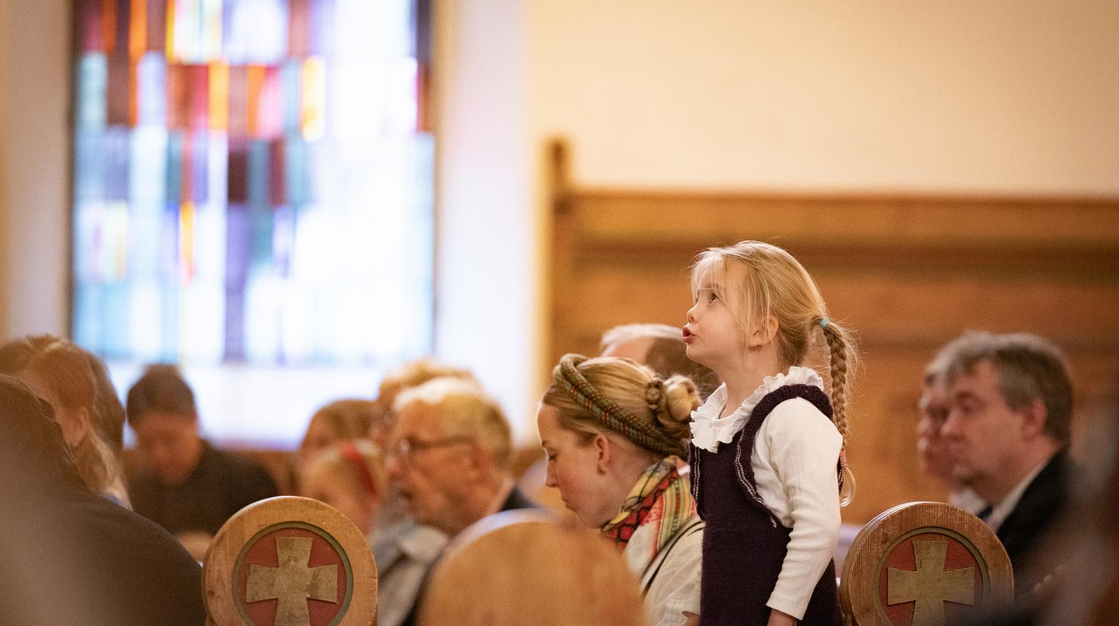 Gratis jule- og adventsarrangementer 2024