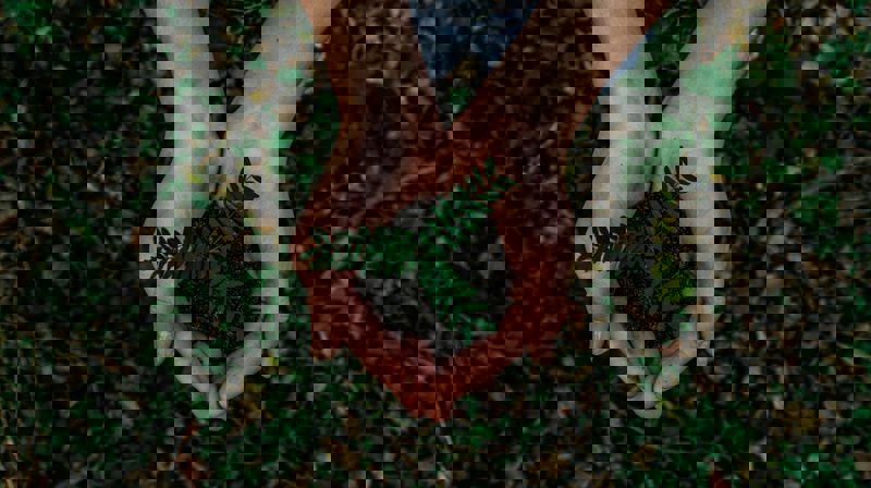 Foto: Noah Buscher, Unsplash