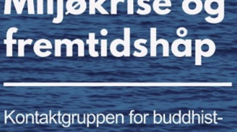 Miljøkrise og fremtidshåp