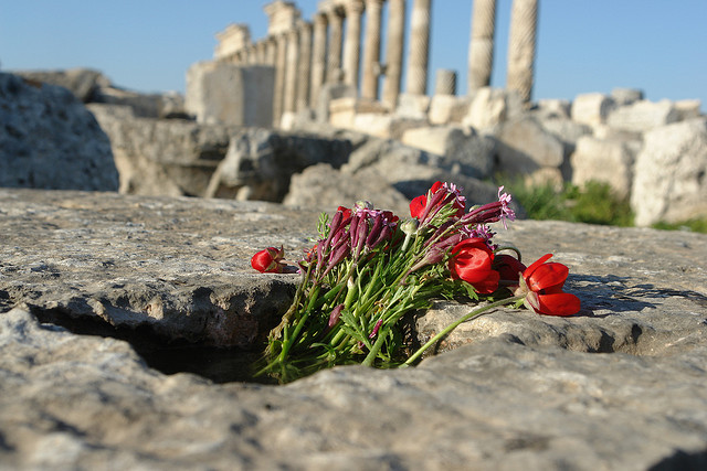 Oppfordring til bønn for Syria og Irak