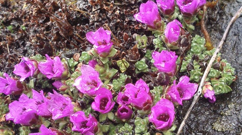 Bispedømmerådet er imponert og takknemlig over innsatsen!