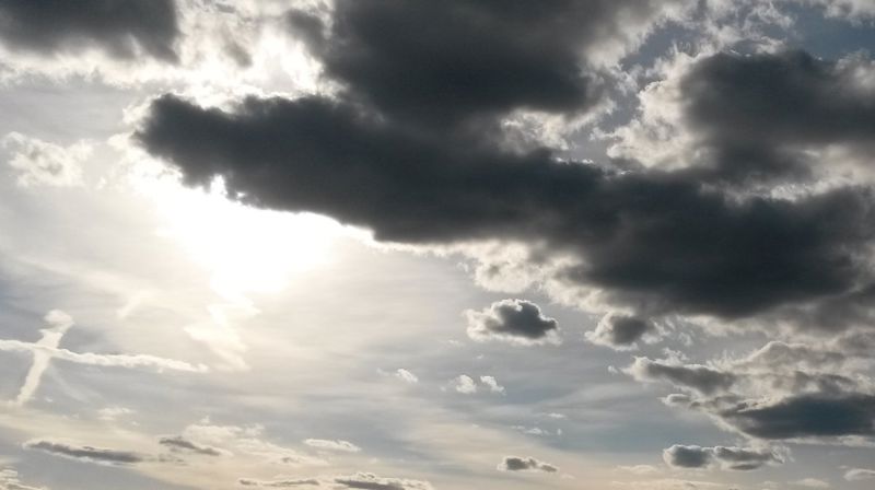 Foto: Hanne Kristin Bondevik Sørlid