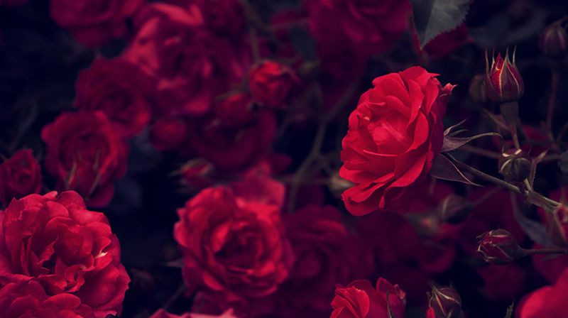 22. juli – ti år etter tragedien