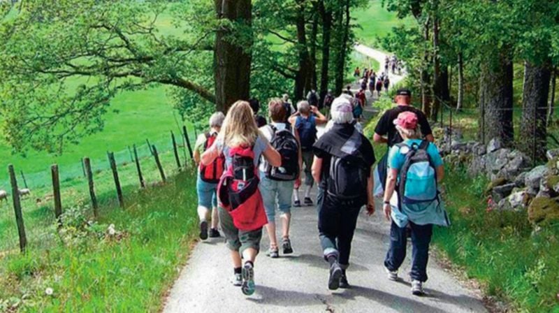 Kirken og samfunnet - hvilken rolle kan pilegrimsarbeidet ha?