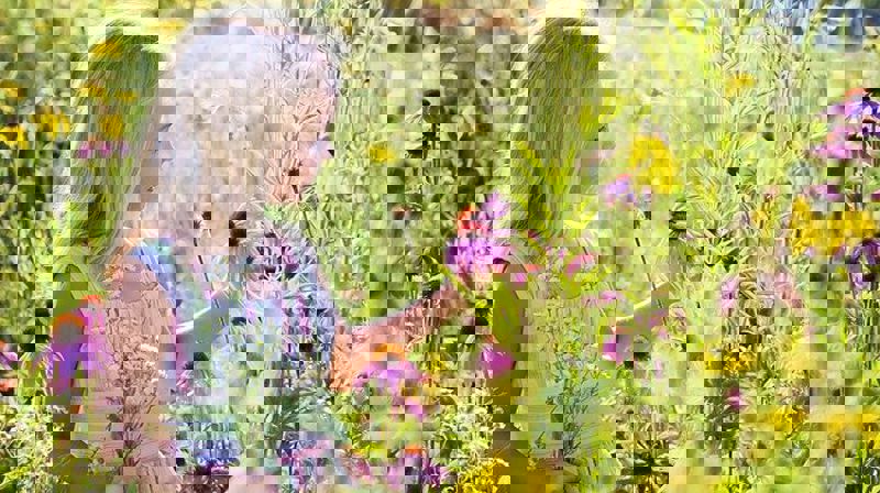 Foto: Jill Wellington, Pixabay