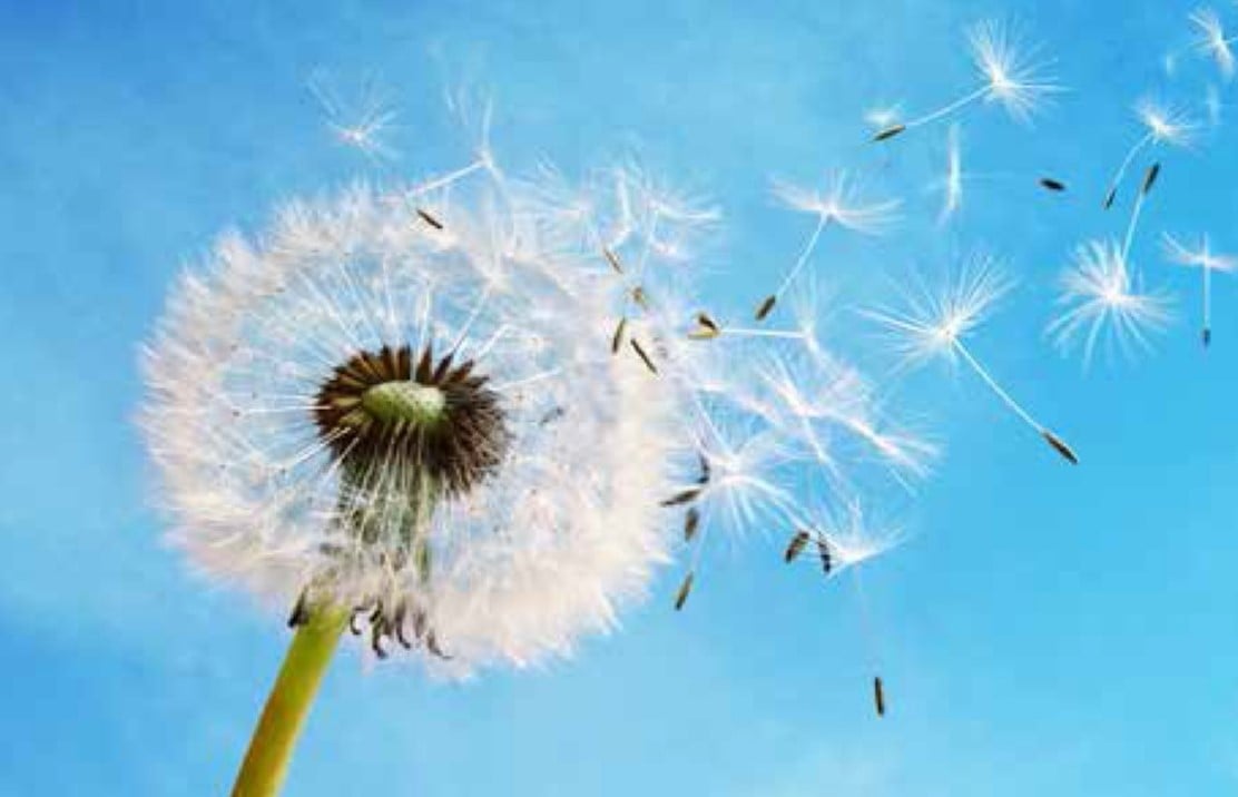 Klart for NMS' sommerfest