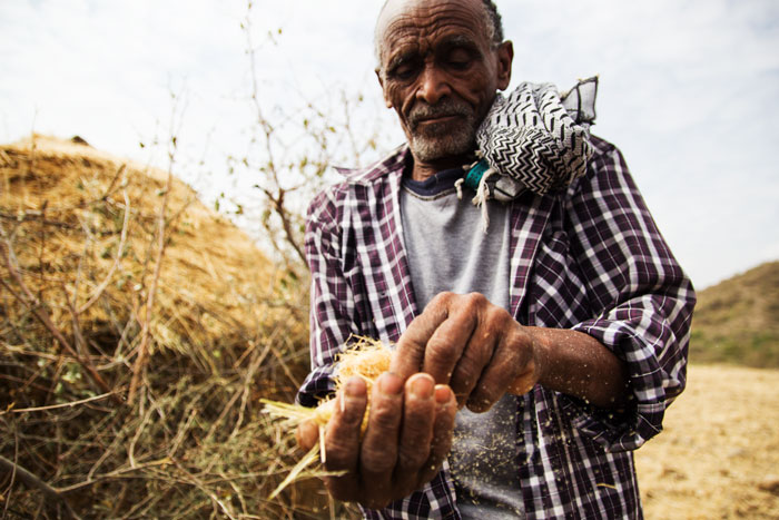 Fasteaksjonen 2016 - Kirkens Nødhjelp