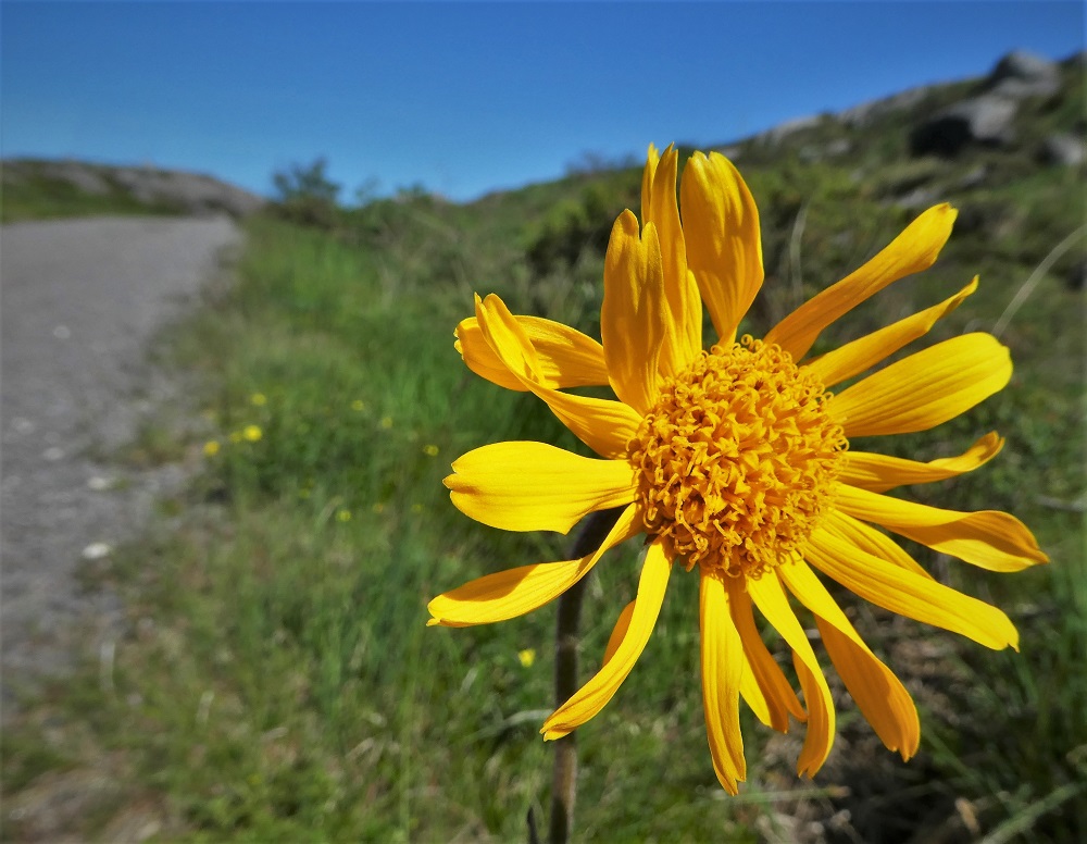 Foto: Marit Fimland