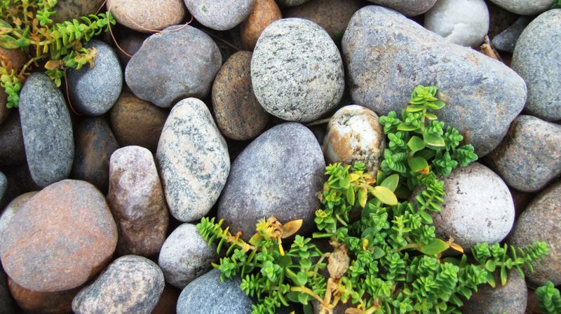 Samtale og sjelesorg