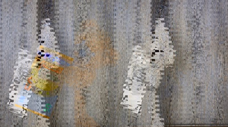 Søk midler til diakoni, kirkemusikk og kultur, barn og unge, gudstjenesteliv og samisk kirkeliv!