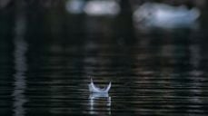 Ill.foto: Andraz Lazic / Unsplash