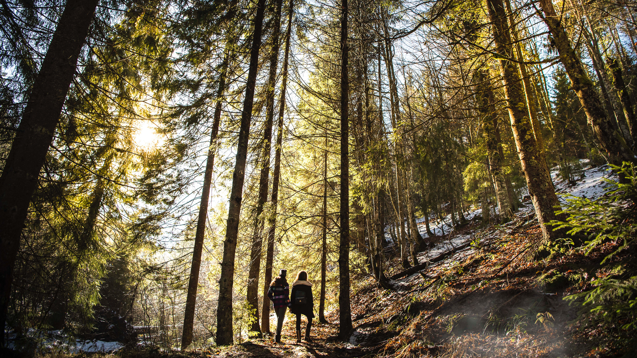 Pilegrim i Tunsberg - Pereginus