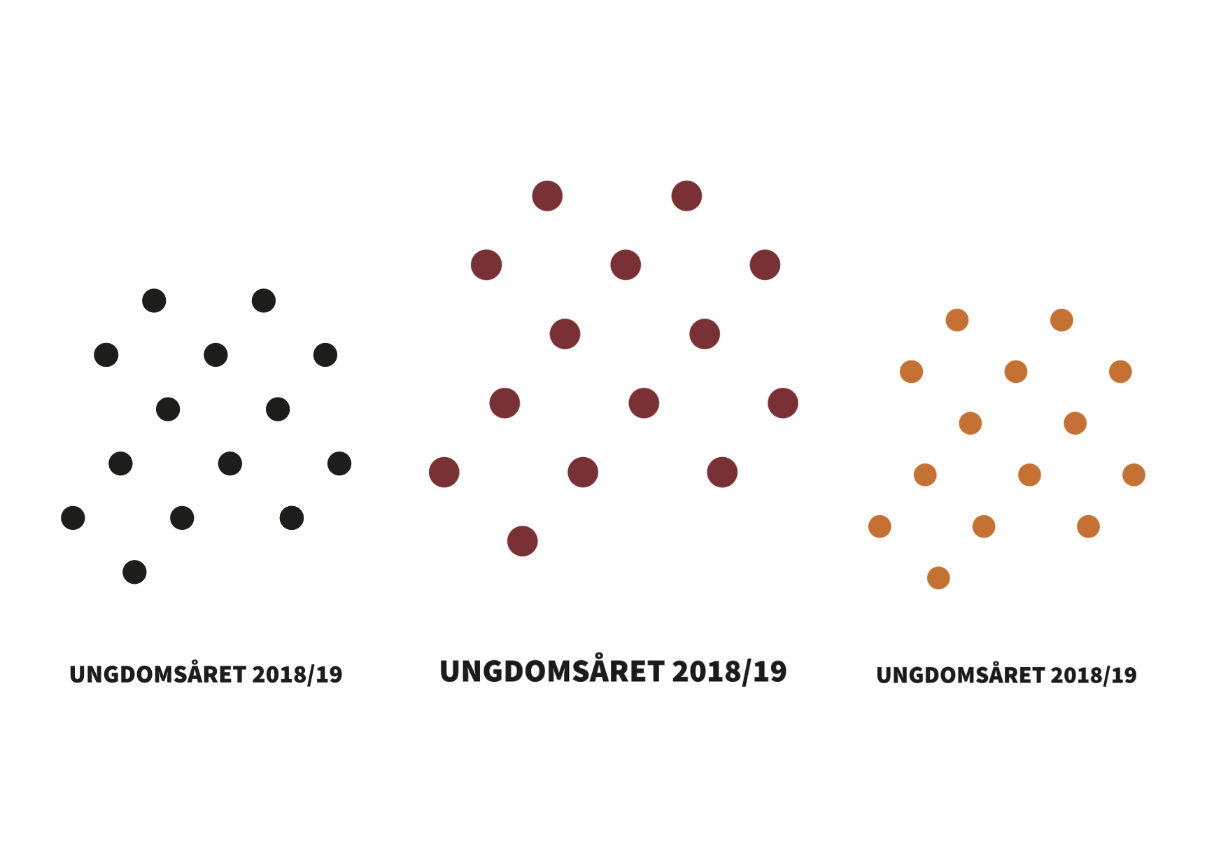 Oversikt over året, informasjon, tips til profilering og logo