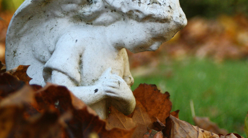 Foto: Solveig Vassbø Sæth