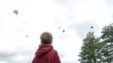 Det var mange drager i luften på Dragefestivalen. Foto: Okke Bloem