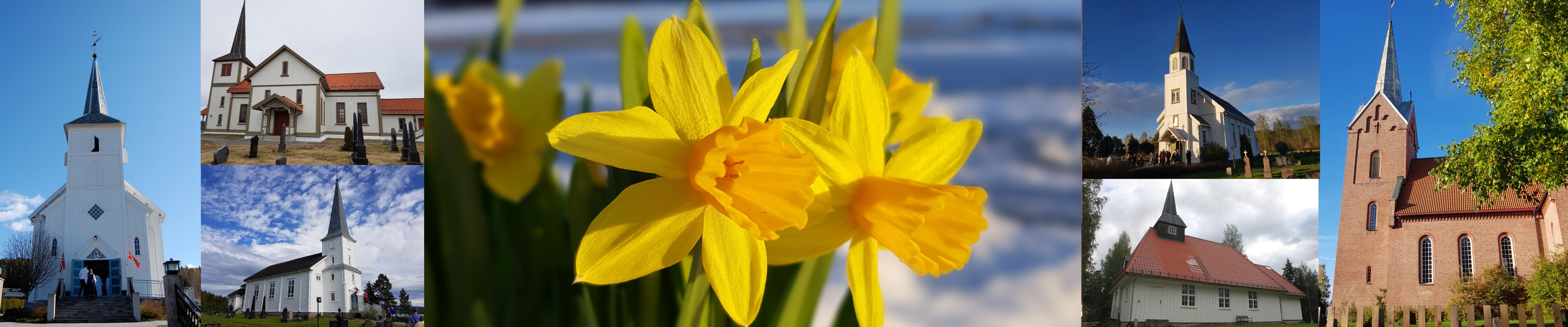 Toppbilde for Åsnes kirkelige fellesråd