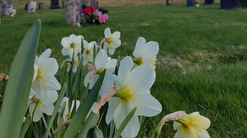 Vær obs på smittefare