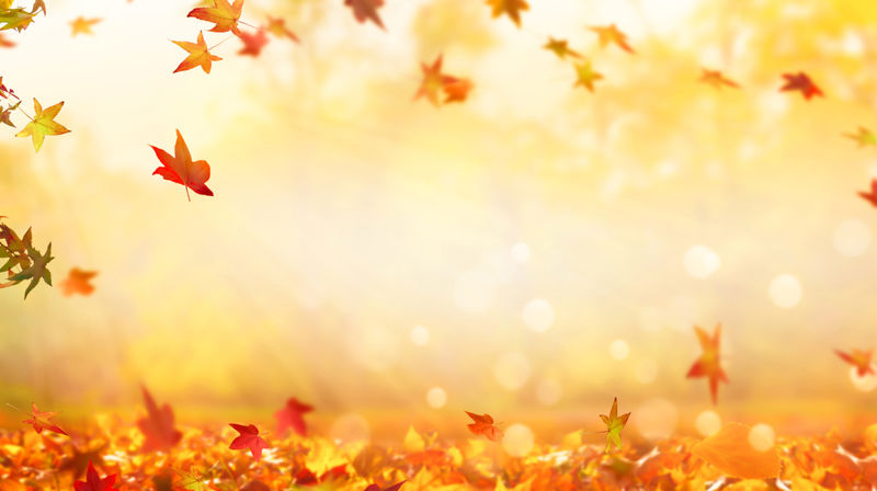 Velkommen til Høstbasar