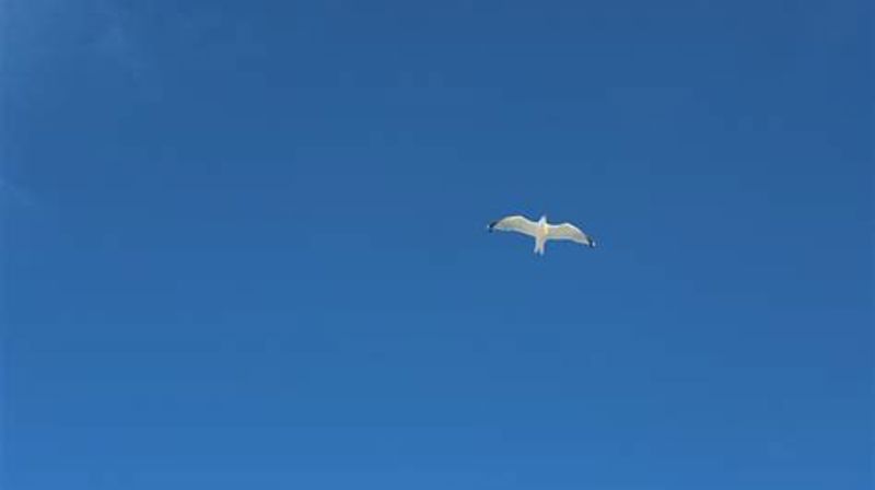 Fredsgudstjeneste i Ørland kirke