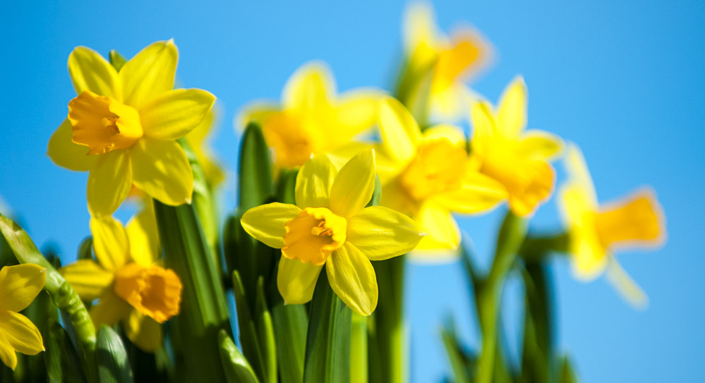 Påsken i Ørland og Bjugn menighet