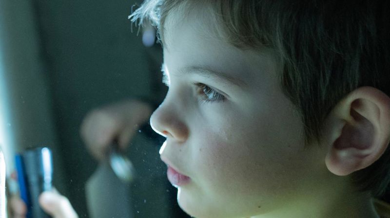 Foto: Den norske kyrkja