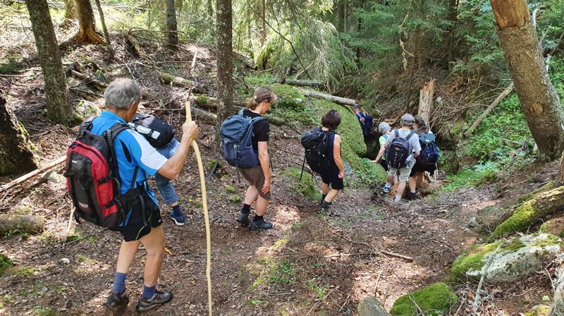 27. juli: En dag som pilegrim - fra Veggli kirke til Rollag stavkirke
