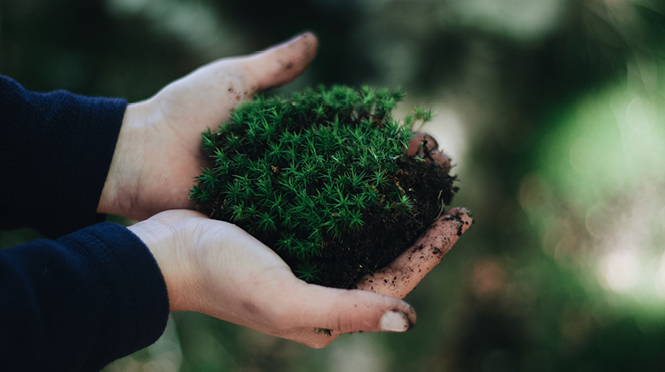 Vi er en grønn menighet