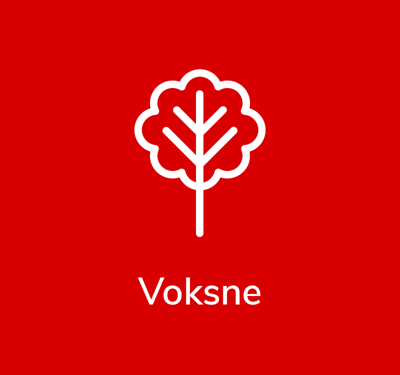Voksen