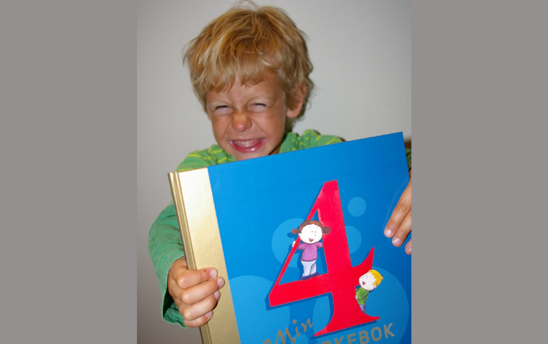4-årsbok