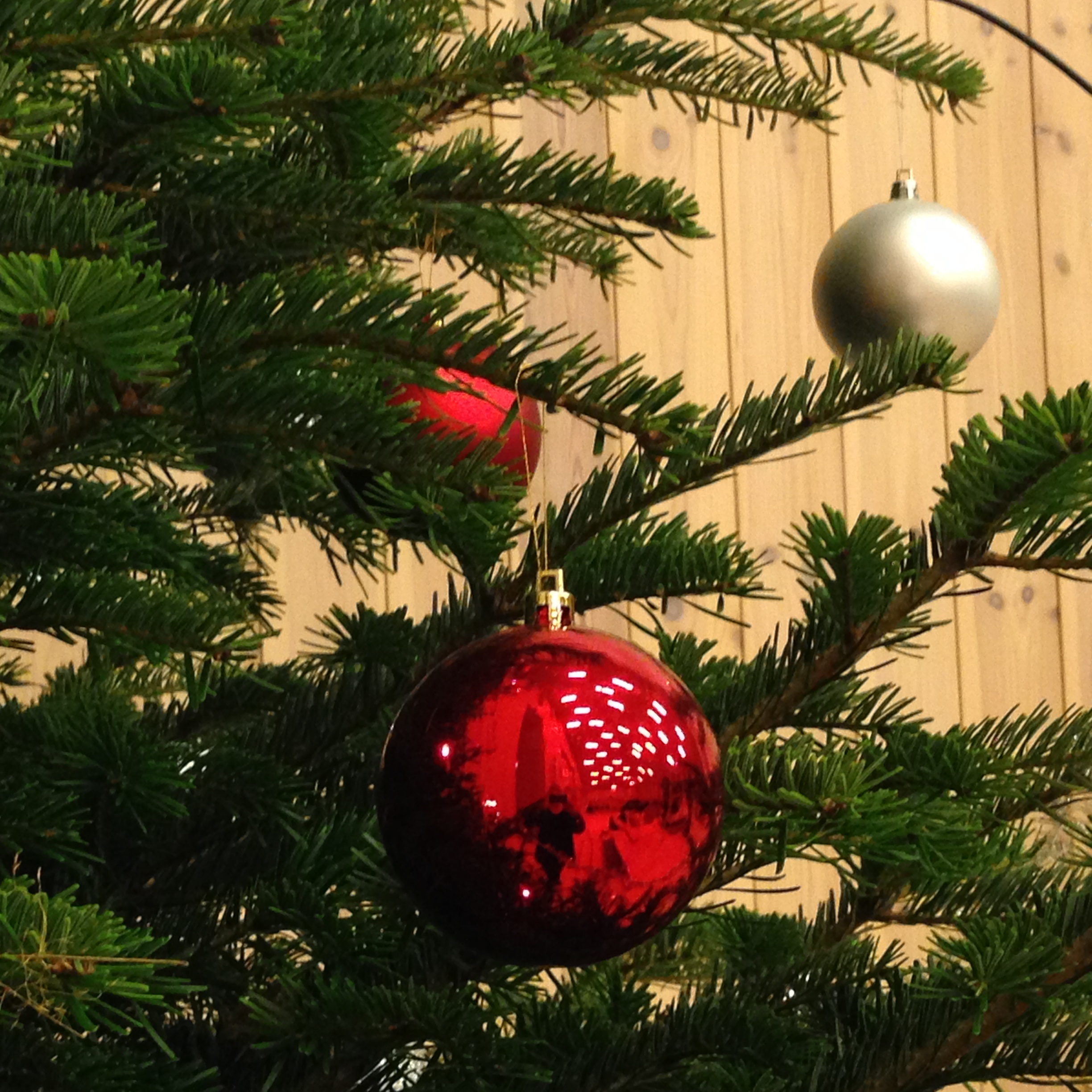 Jul og nyttår i kyrkja