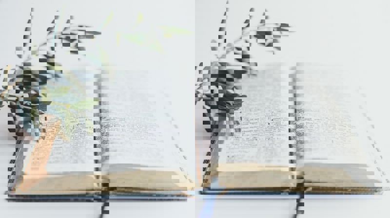 Bilde: Photo by Sixteen Miles Out on Unsplash