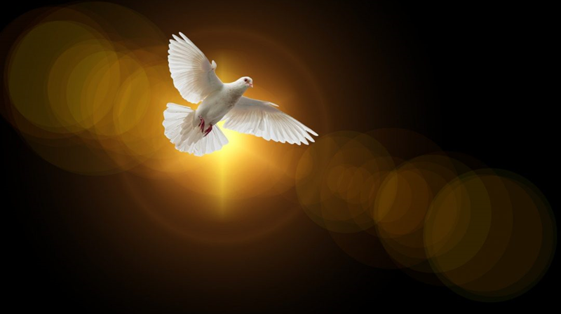 Pinsedag 31. mai kl.10:30 og 12:00